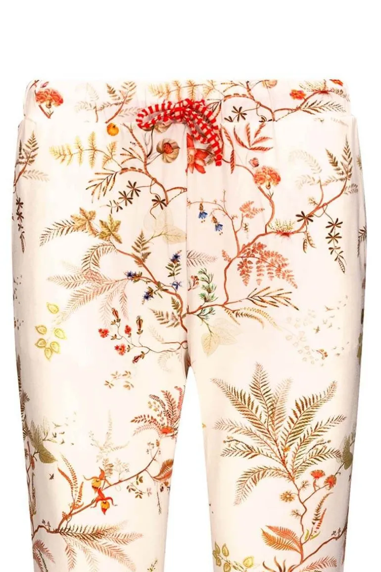 Lange Broek Isola