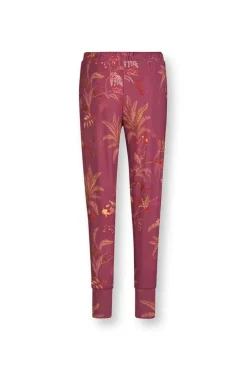 Lange Broek Isola