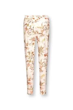 Lange Broek Isola