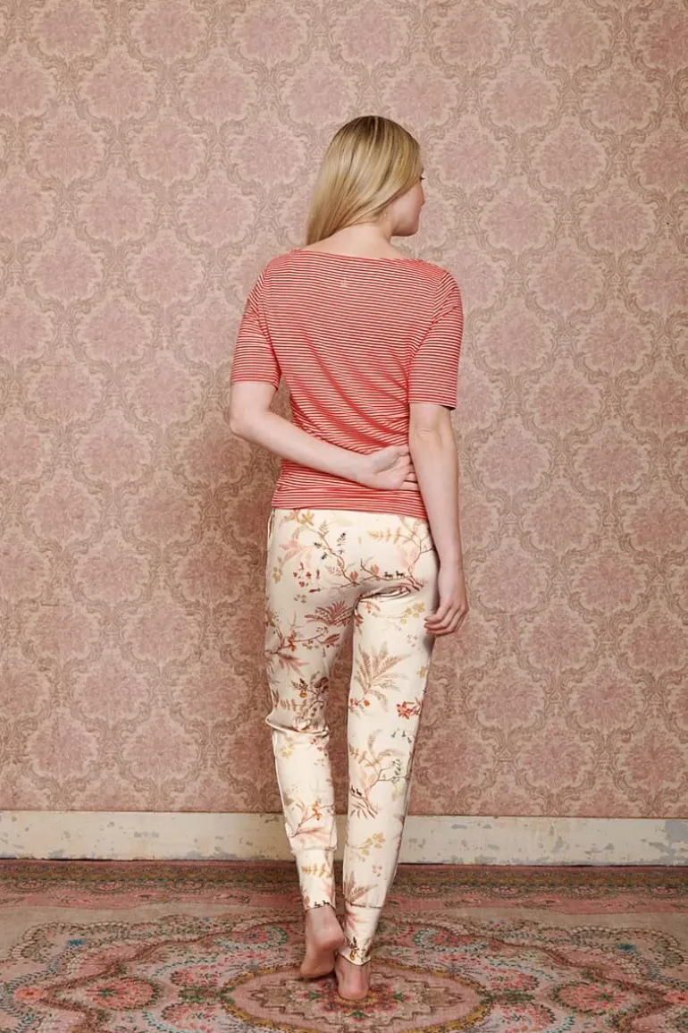 Lange Broek Isola
