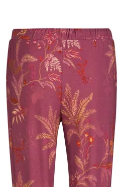 Lange Broek Isola