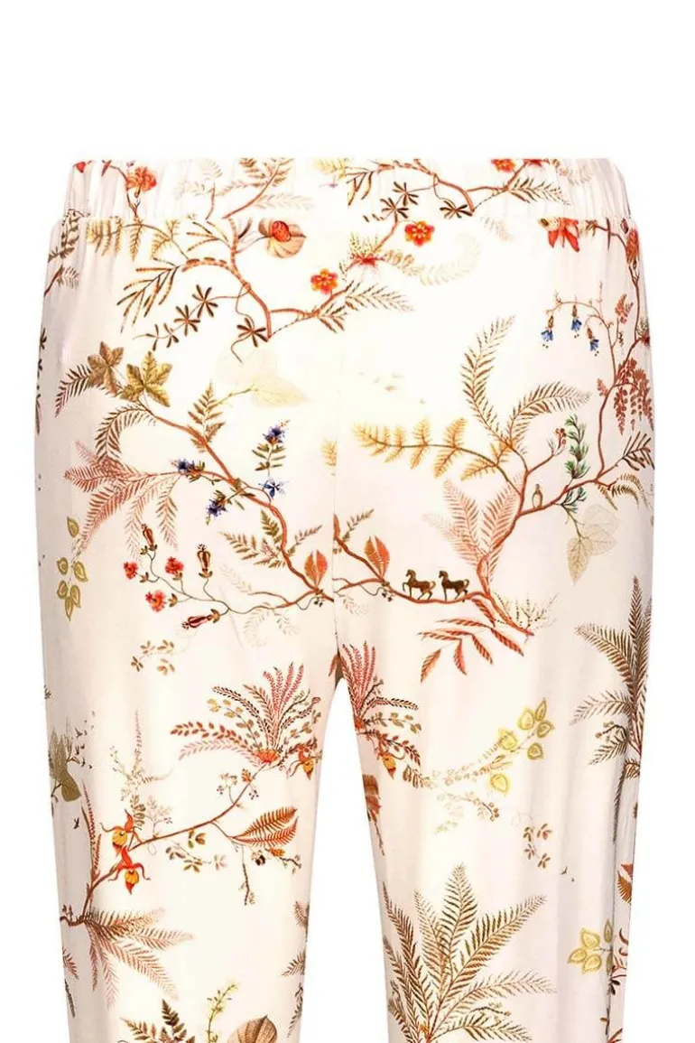Lange Broek Isola