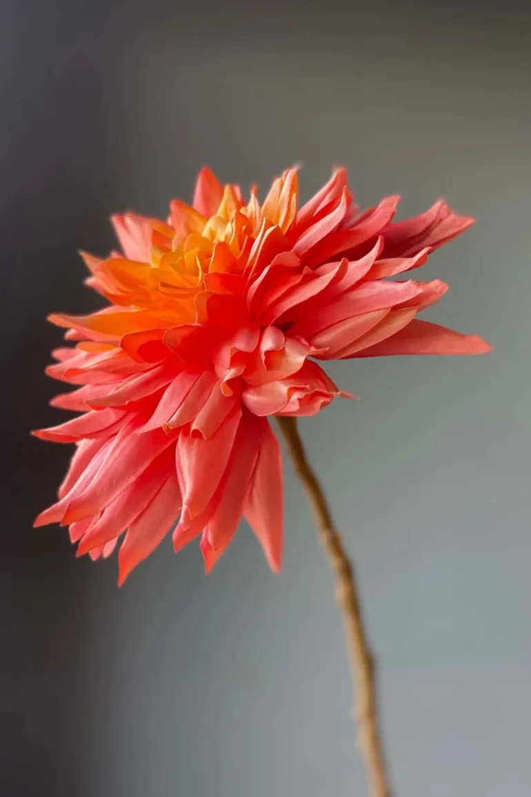 Pip Kunstbloemen Sweet Symphony