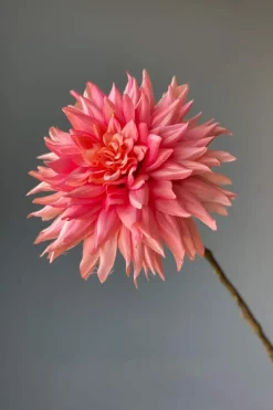 Pip Kunstbloemen Vanilla Bloom