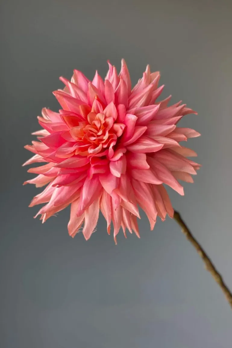 Pip Kunstbloemen Vanilla Bloom